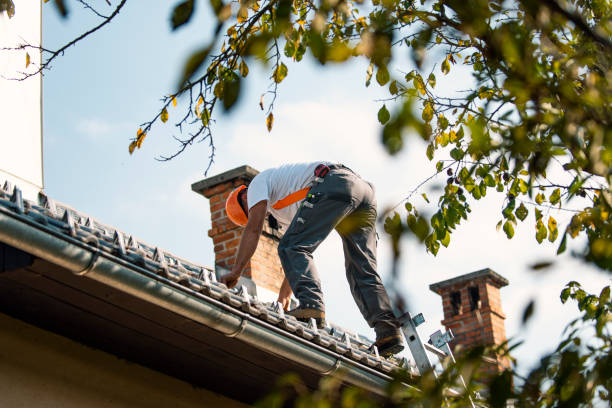Best Roof Leak Repair  in Ridge Manor, FL