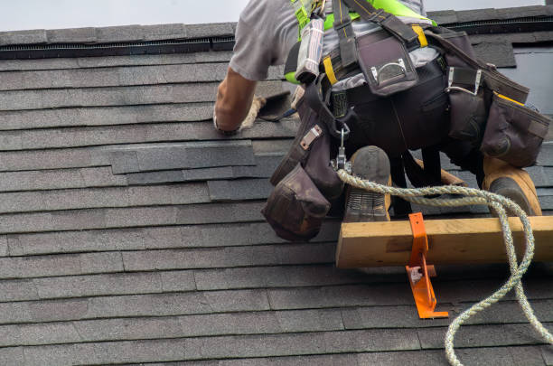 Best New Roof Installation  in Ridge Manor, FL