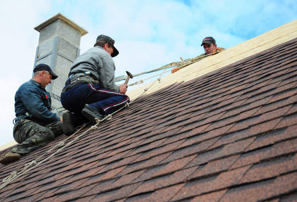 Best Roof Gutter Cleaning  in Ridge Manor, FL