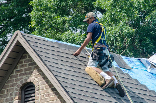 Roof Gutter Cleaning in Ridge Manor, FL