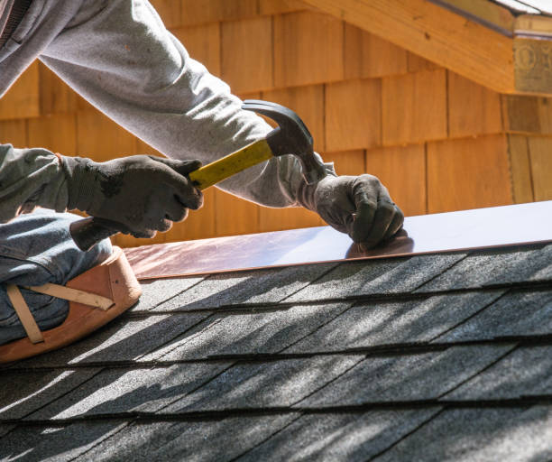 Best Roof Repair Services  in Ridge Manor, FL